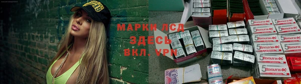 ПСИЛОЦИБИНОВЫЕ ГРИБЫ Алексин