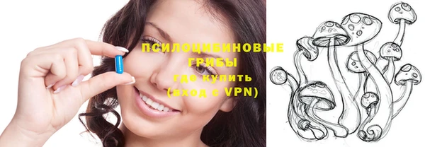 mdpv Киреевск