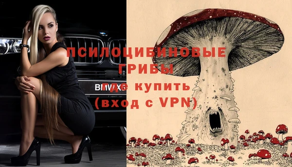 ПСИЛОЦИБИНОВЫЕ ГРИБЫ Алексин