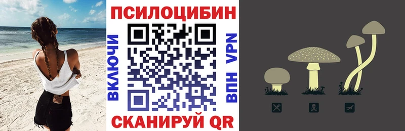Псилоцибиновые грибы прущие грибы Приозерск